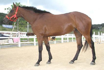 �ٷ��� ����