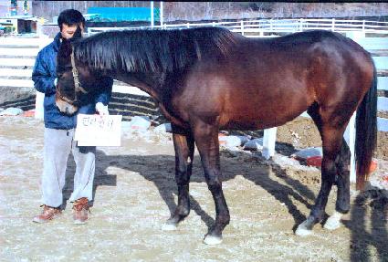 ���� ����