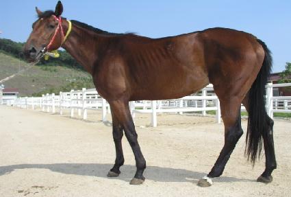 ��Ÿ�� ����