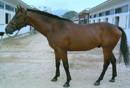 ������ ����