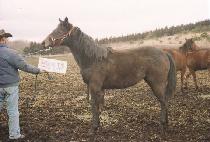 �������ڸ� ����