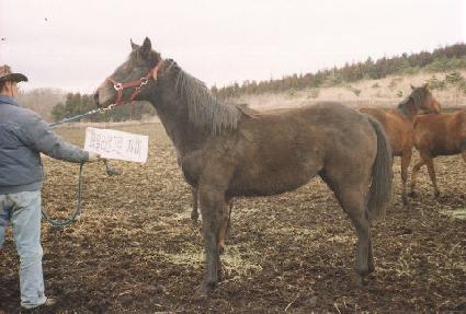 �������ڸ� ����