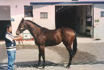 ���밨 (SEONGChWIGAM) ����