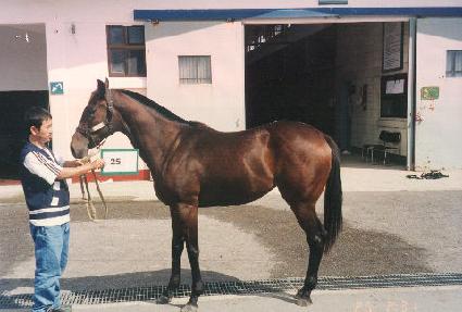 ���밨 ����