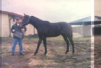 ��ĭ ����