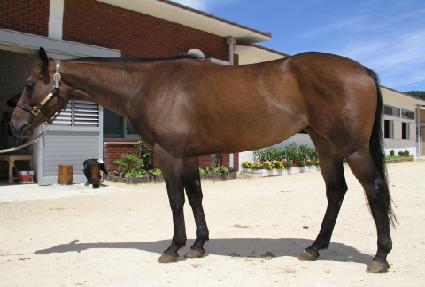 ȰȲ�ô� ����