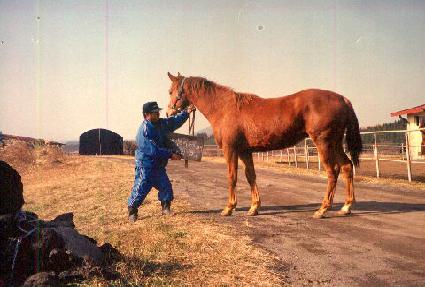 �����ǵ��� ����