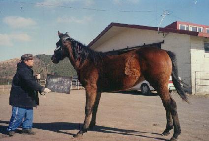 û��뼺 ����