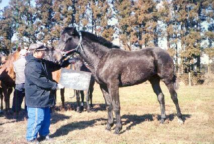 ���յ����� ����