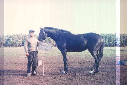 ���� ����