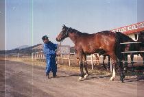 �̹��� (MIMUDO) ����