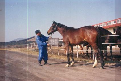 �̹��� ����