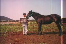 ���ϸ���Ʈ (SALIENT) ����