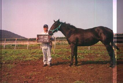 ���ϸ���Ʈ ����