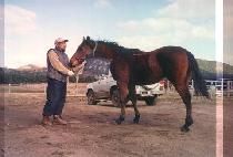 �̷�Ž�� (MIRAETAMGU) ����