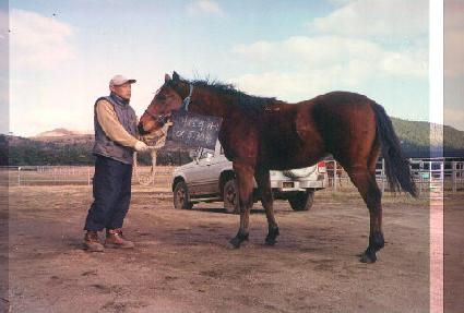 �̷�Ž�� ����