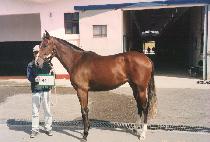 ���� (JEONGWAN) ����