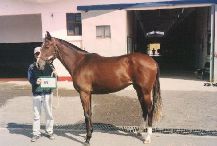 ���� ����