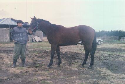 ���丮����Ʈ ����