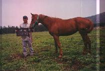 ���߻����� (YEONJUNGSAEBORA) ����