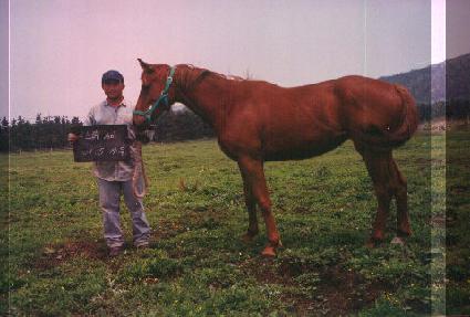 ���߻����� ����