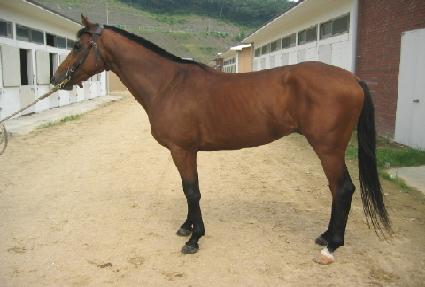 ����屺 ����