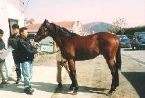 �±ؼ� (TAEGEUKSEONG) ����