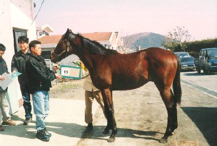 �±ؼ� ����