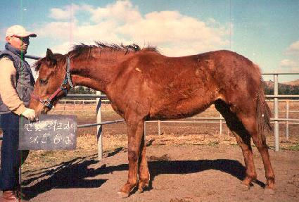 ���ٶ� ����