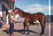 ���¿� (BIRYONGSEUNGUN) ����