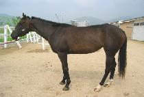 ��ٴ� (GINBADA) ����