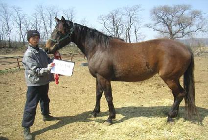 ������ ����