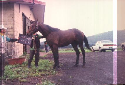 ��õ���� ����