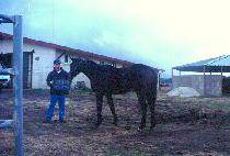 ���������� (DOKSURIGUNDAN) ����