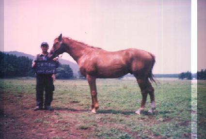 ���ڱ��� ����