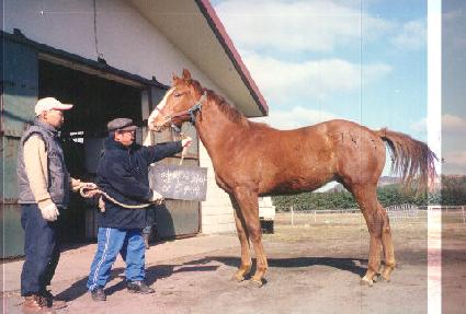 ȸ�� ����