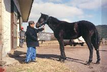 �������� (ILCHULJIGWANG) ����