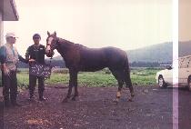 ������ (GICHAGE) ����