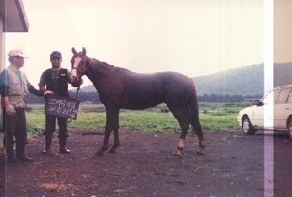 ������ ����