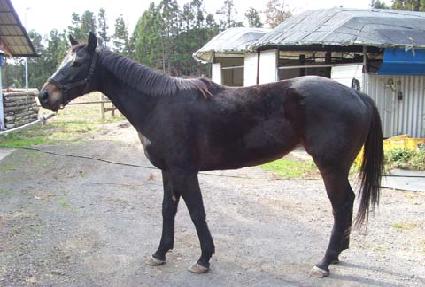 ���� ����