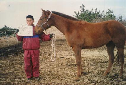 ��ű ����