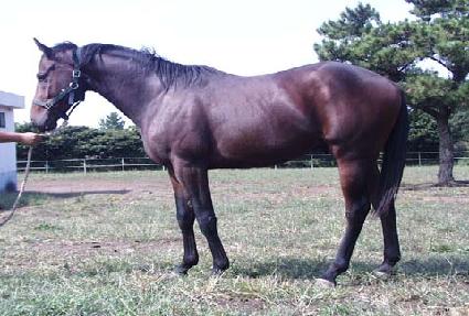 �ڹ̿� ����