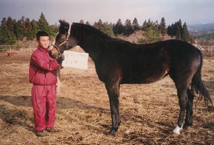 �ݼ� ����