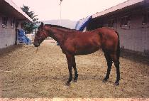 ���� (EOHEOM) ����