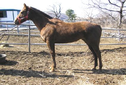 ������ ����