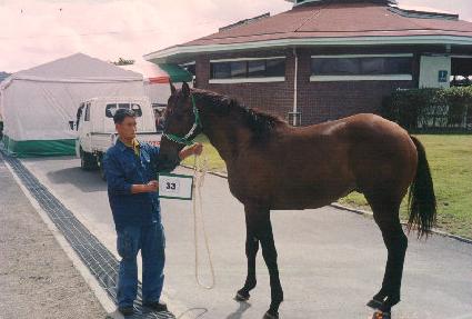 ���̻� ����