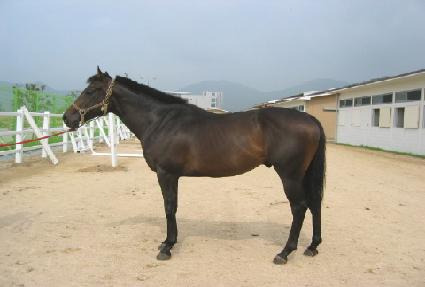 ���� ����