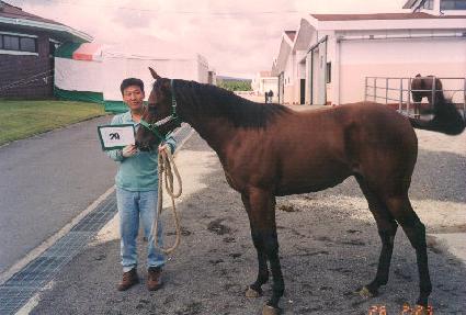 ������ ����