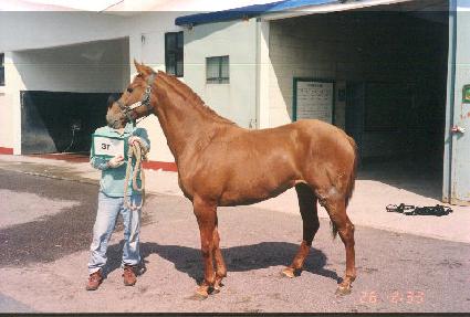 ���Ǵ��� ����