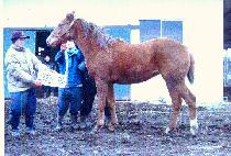 �ؿͺ� (HAEWABYEOL) ����